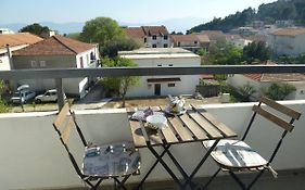 Apartment Vicko